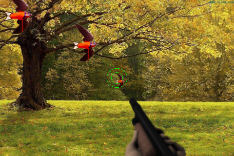 Screenshot Bird Shooting: 3D Screenshot Bird Shooting: 3D