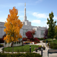 Name That Temple